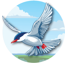 Lightning bolt symbol on red background