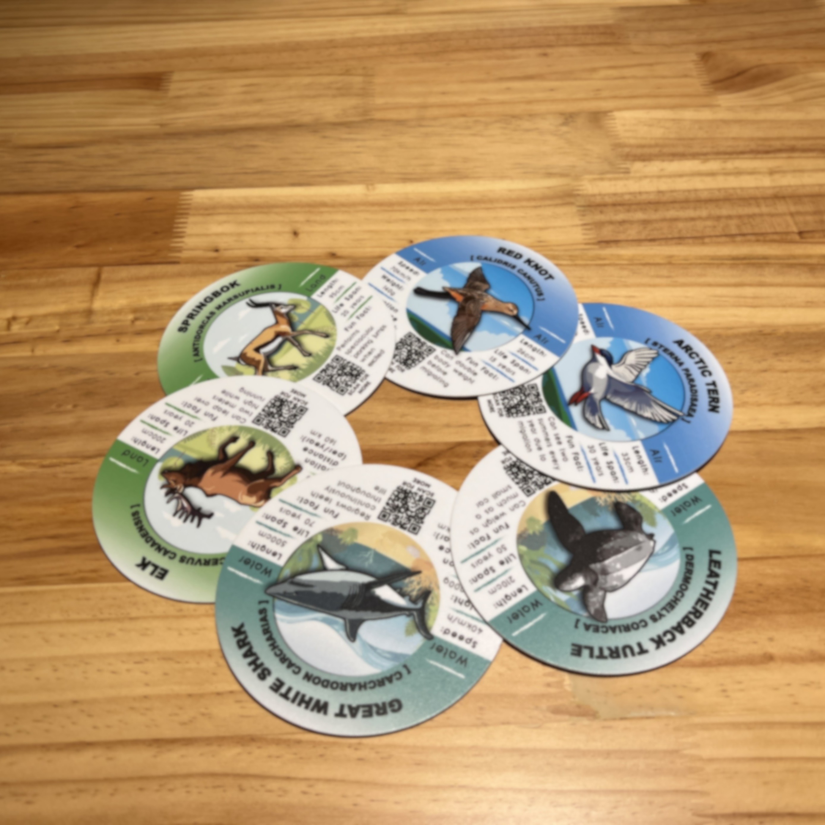 Navigators of Nature wildlife cards arranged by air, land and water themes.