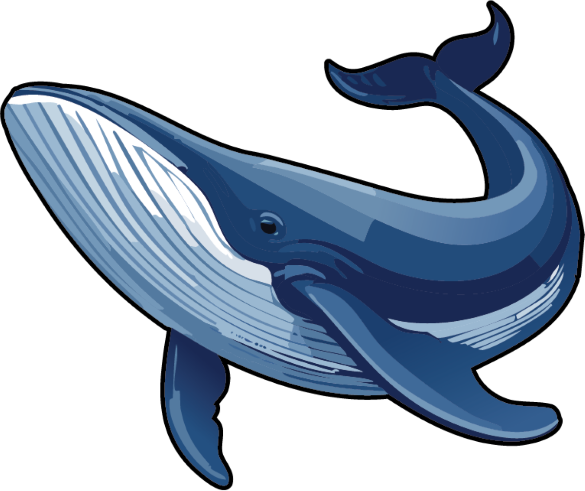 Humpback Whale