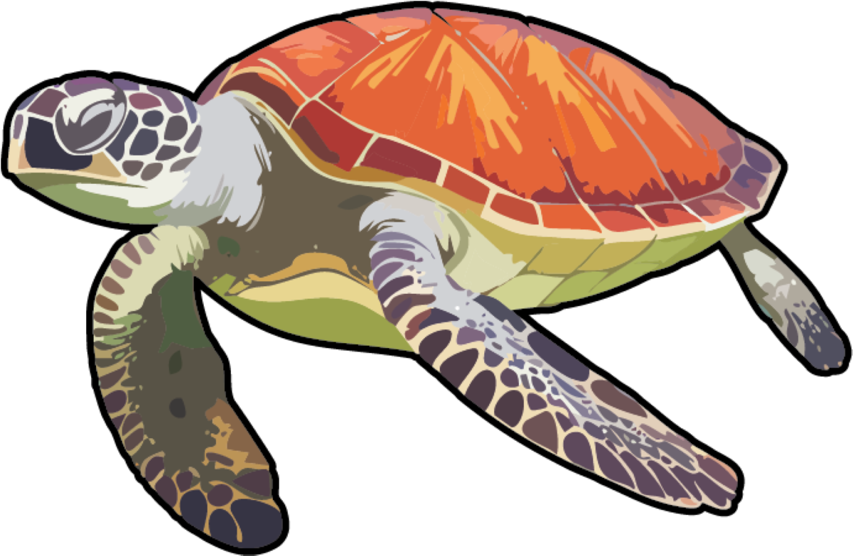Loggerhead Turtle