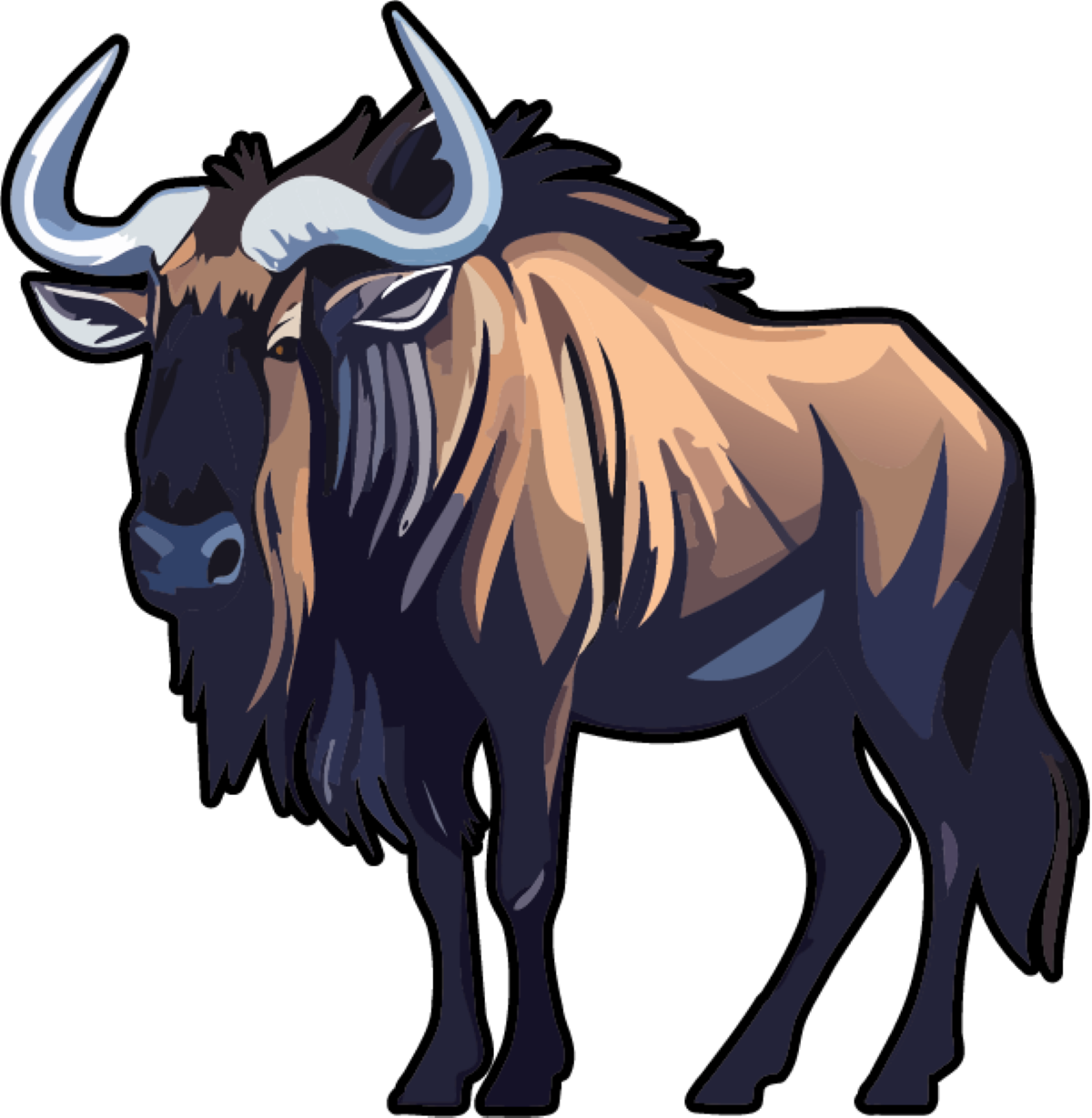 Wildebeest