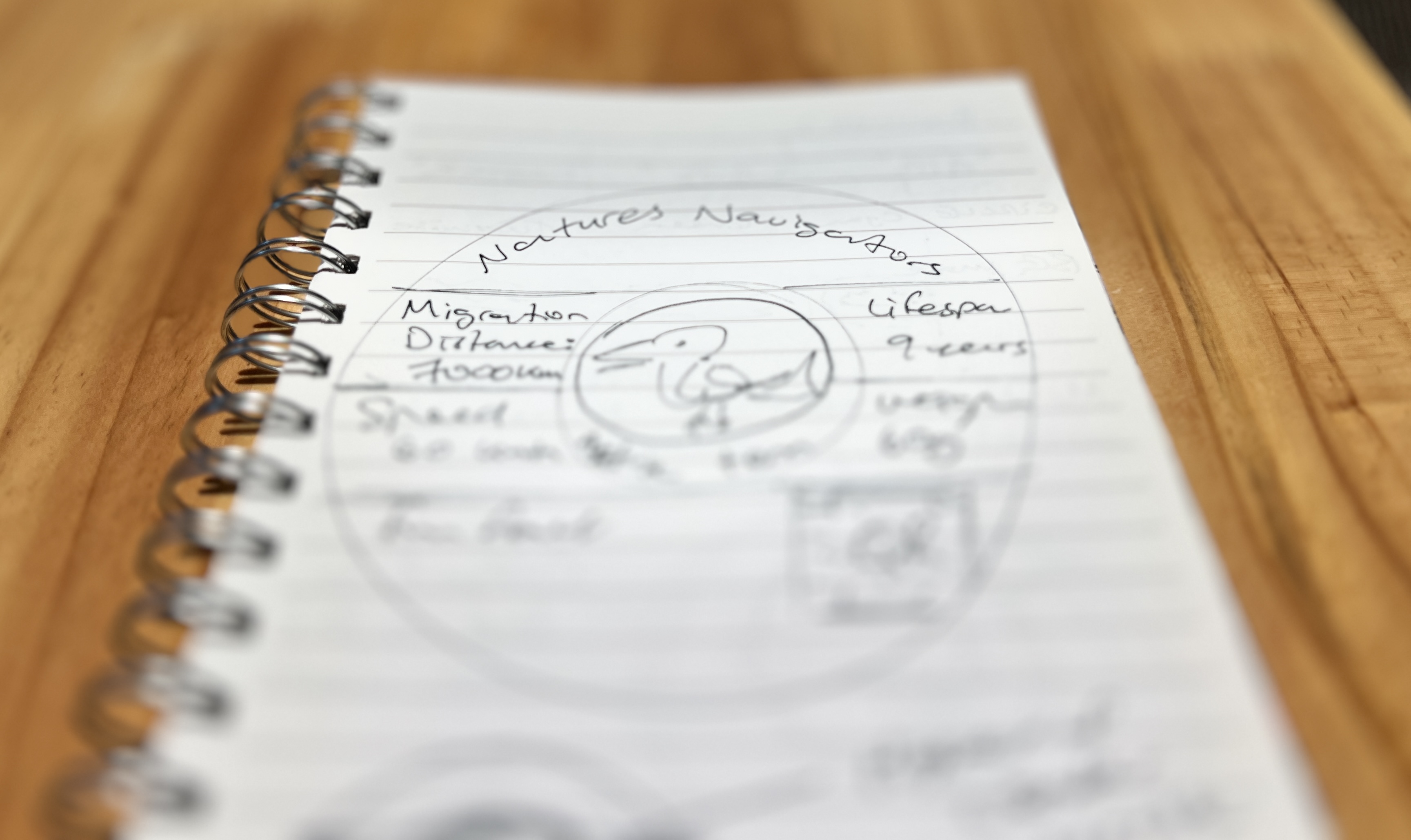 Early gameplay concept sketch from the design development process